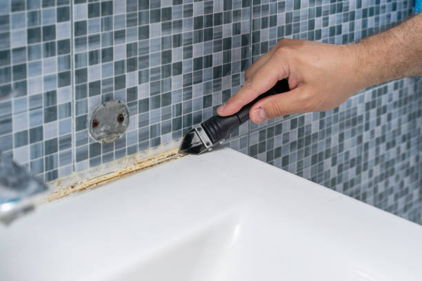 Best Black Mold Removal  in Enon, OH